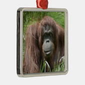 Orangutan Metalen Ornament (Rechts)