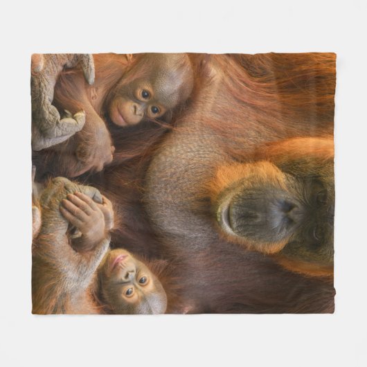 Orangutan Moeder die twee baby's houdt Fleece Deken (Voorkant (Horizontaal))