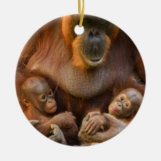 Orangutan Moeder die twee baby's houdt Keramisch Ornament (Voorkant)