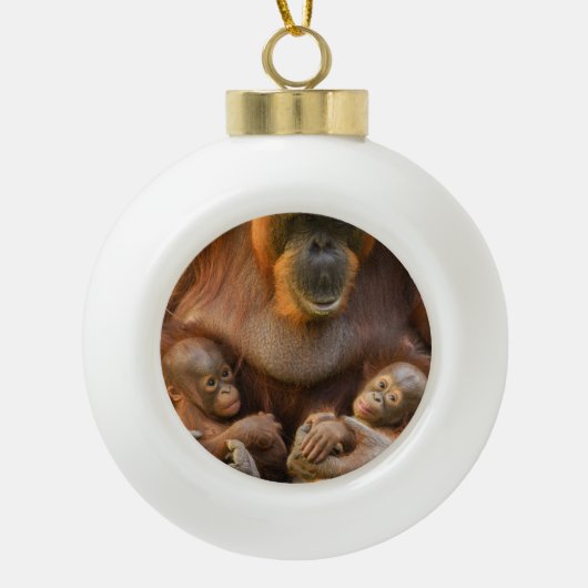 Orangutan Moeder die twee baby's houdt Keramische Bal Ornament (Voorkant)