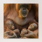 Orangutan Moeder die twee baby's houdt Legpuzzel (Verticaal)