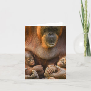 Orangutan Moeder die twee baby's houdt Notitiekaartje