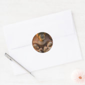 Orangutan Moeder die twee baby's houdt Ronde Sticker (Envelop)