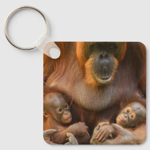 Orangutan Moeder die twee baby's houdt Sleutelhanger