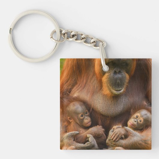 Orangutan Moeder die twee baby's houdt Sleutelhanger (voorkant)
