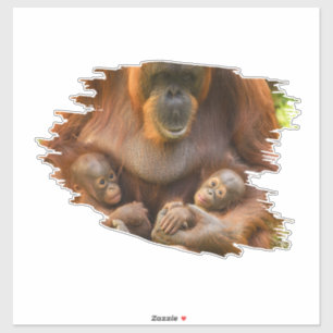Orangutan Moeder die twee baby's houdt Sticker