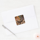 Orangutan Moeder die twee baby's houdt Vierkante Sticker (Envelop)