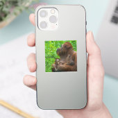Orangutan Moeder en Babies Sticker (Telefoon)
