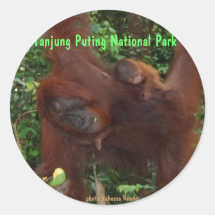 Orangutan Moeder en Baby Ronde Sticker