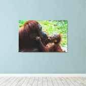Orangutan Moeder met Baby Canvas Afdruk (Insitu (Houten vloer))