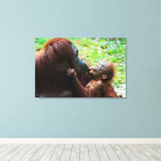 Orangutan Moeder met Baby Canvas Afdruk (Insitu (Houten vloer))