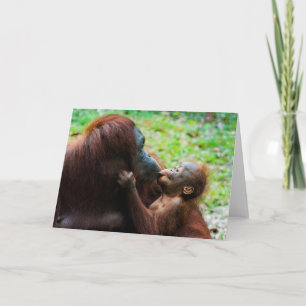 Orangutan Moeder met Baby Kaart