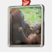 Orangutan Moeder met Baby Metalen Ornament (Links)