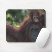 Orangutan Moeder met Baby Muismat (Met muis)