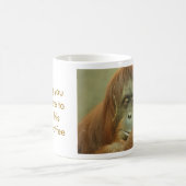 Orangutan Mok (Center)