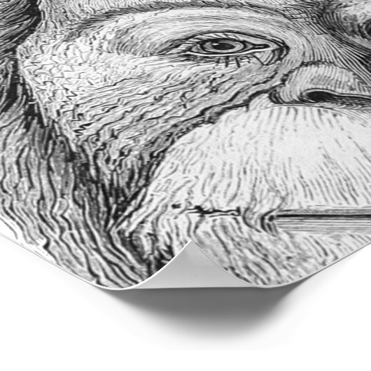 Orangutan Monkey Black en White Line Wall Art Poster (Hoek)