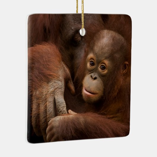 Orangutan Mother and Baby at the Zoo Keramisch Ornament (Rechts)