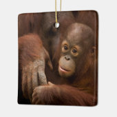 Orangutan Mother and Baby at the Zoo Keramisch Ornament (Links)