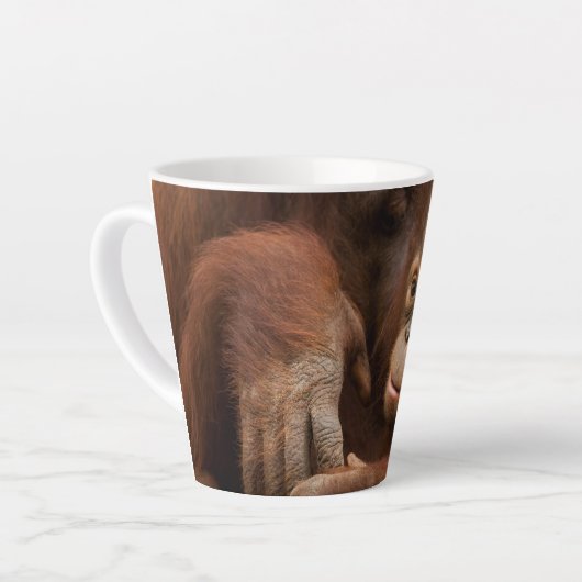 Orangutan Mother and Baby at the Zoo Latte Mok (Linkerhoek)