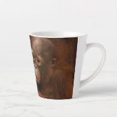 Orangutan Mother and Baby at the Zoo Latte Mok (Rechts)