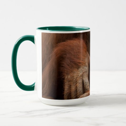 Orangutan Mother and Baby at the Zoo Mok (Links)