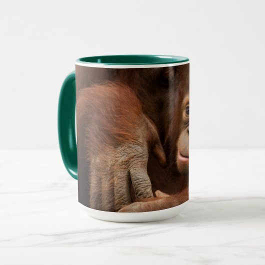 Orangutan Mother and Baby at the Zoo Mok (Voorkant links)