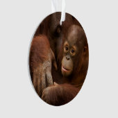 Orangutan Mother and Baby at the Zoo Ornament (voorkant)