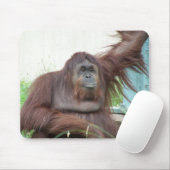 Orangutan Mousepad Muismat (Met muis)