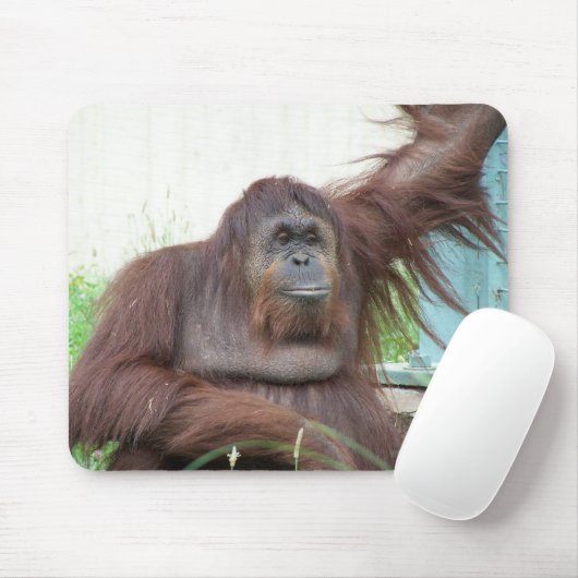 Orangutan Mousepad Muismat (Met muis)