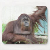 Orangutan Mousepad Muismat (Voorkant)