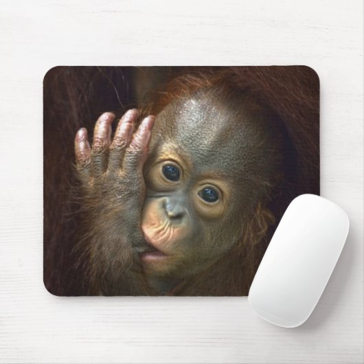 Orangutan Muismat (Met muis)