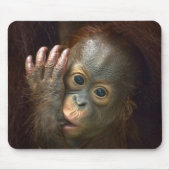 Orangutan Muismat (Voorkant)