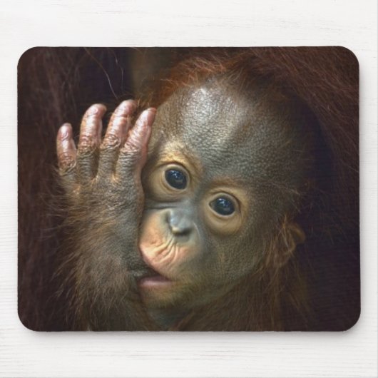 Orangutan Muismat (Voorkant)