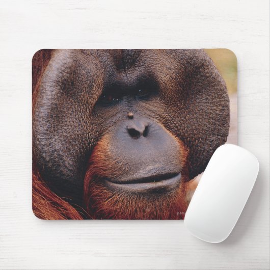 Orangutan Muismat (Met muis)