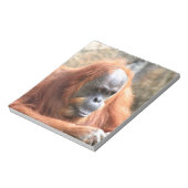 Orangutan Notitieblok (Linkerzijde)