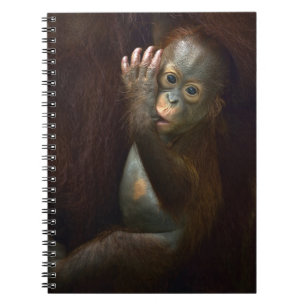 Orangutan Notitieboek