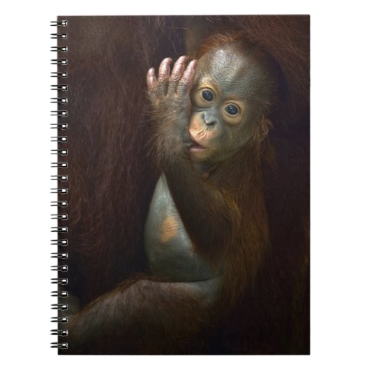 Orangutan Notitieboek (Voorkant)