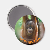 Orangutan officiële fan magneet (Voorkant / Achterkant)