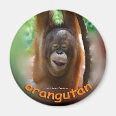 Orangutan officiële fan magneet (Voorkant)