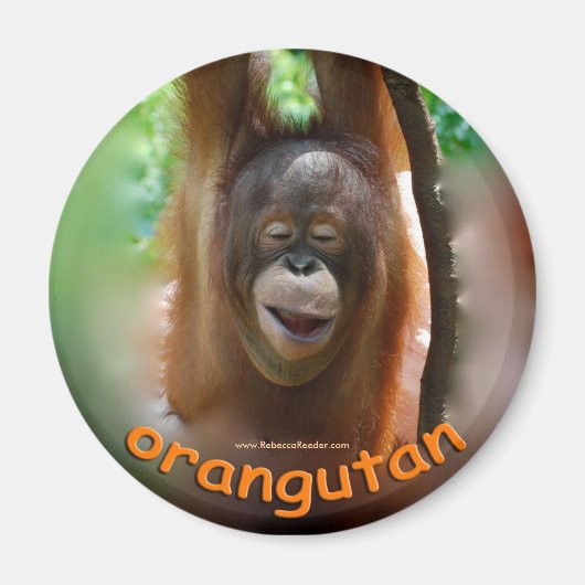 Orangutan officiële fan magneet (Voorkant)