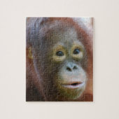 Orangutan op het eiland Borneo Legpuzzel (Verticaal)