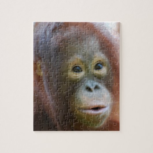 Orangutan op het eiland Borneo Legpuzzel (Verticaal)
