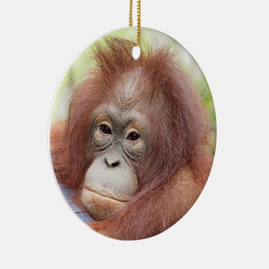 Orangutan Orphan Dr. Ann Keramisch Ornament (Rechts)