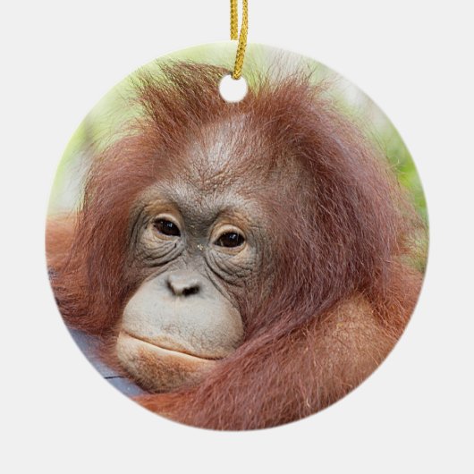 Orangutan Orphan Dr. Ann Keramisch Ornament (Voorkant)