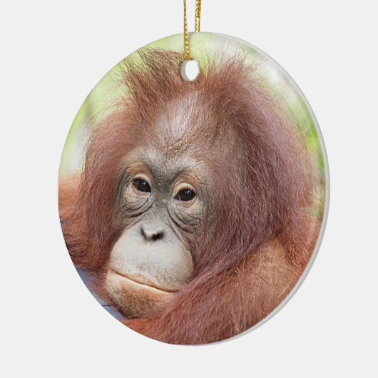 Orangutan Orphan Dr. Ann Keramisch Ornament (Links)