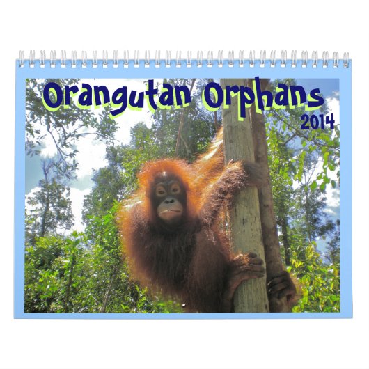 Orangutan Orphans Kalender (Hoes)