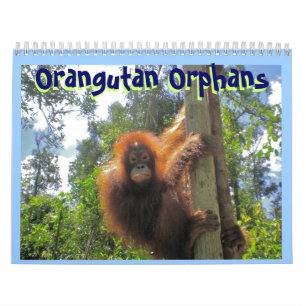 Orangutan Orphans Kalender
