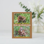 Orangutan Orphans op OFI Island of Borneo Briefkaart (Staand voorkant)