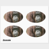Orangutan Ovale Sticker (Vel)