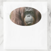 Orangutan Ovale Sticker (Tas)